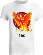 Design 283535  Image