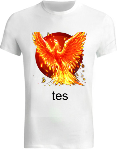 Design 283535 