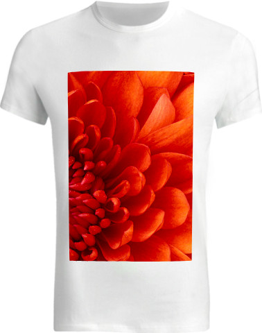 Design 344815 