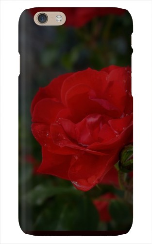 Design 458520 