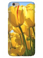 Design 469673  Image