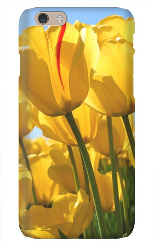 Design 469673 