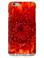 Design 474673  Image