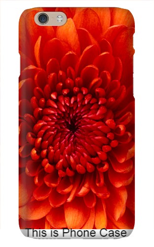 Design 474673 