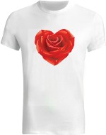 Design 484894  Image