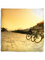 Design 537209  Image