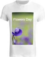 Design 581334  Image