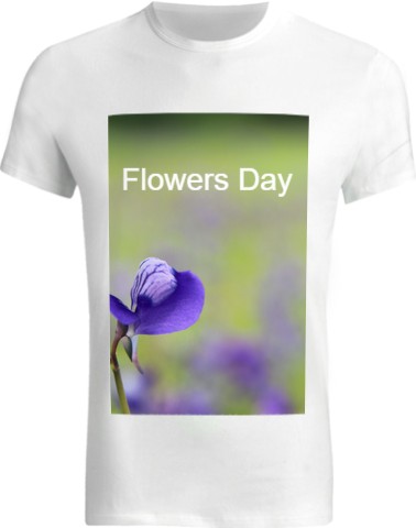 Design 581334 