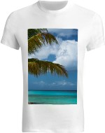 Design 605836  Image