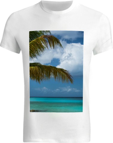 Design 605836 