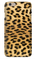 Design 118256  Image