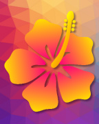 Design 127960  Image