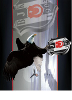 Design 127611  Image