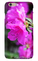 Design 124389  Image