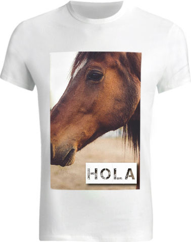 Design 146238 