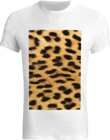 Design 111181 