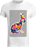 Design 235003  Image