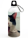 Design 229755  Image