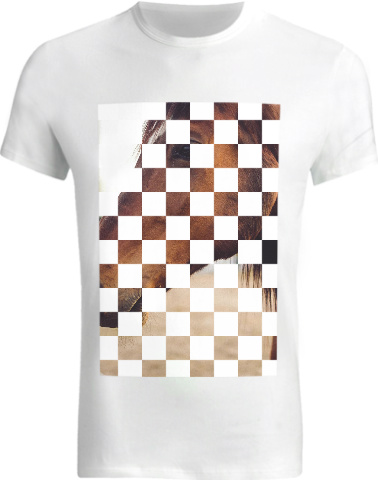 Design 172851 