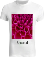 Design 197212  Image