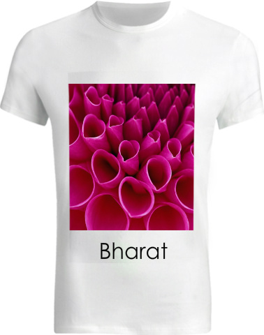 Design 197212 