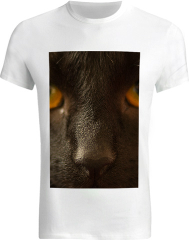 Design 218707 