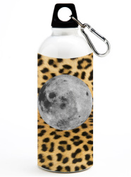 Design 290971  Image